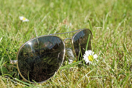 gray framed Aviator-style sunglasses beside white petaled flower