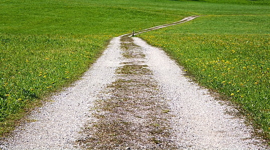 gray pathway between grass covered ground