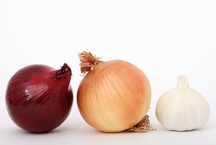 garlic and onion photography