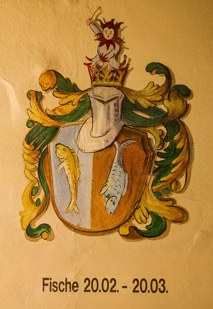 shied and hat emblem illustration