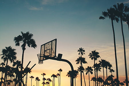 silhouette photo of basketball hoop