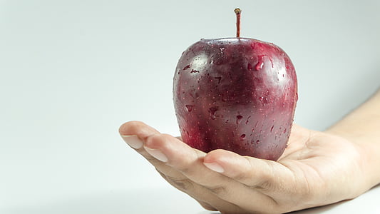 closeup photo of person holding red apple fruit