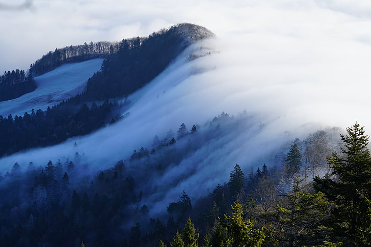 cloud covered mountain forest