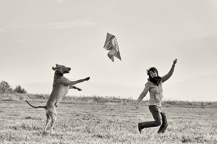 grayscale photography of running woman chasing by dog