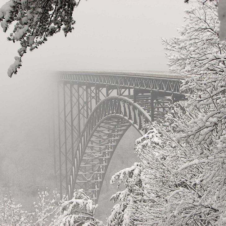 gray foggy bridge