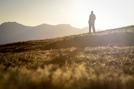 silhouette of man standing grass field