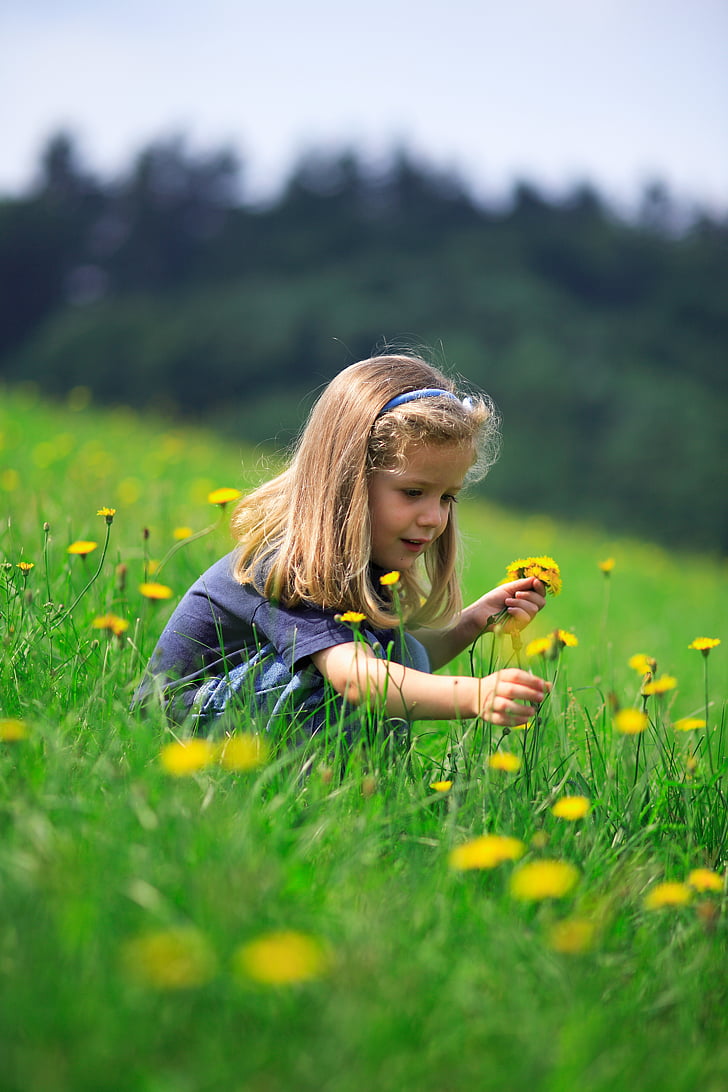 girl picking yellow flowers surrounded by green grass under daytime sky