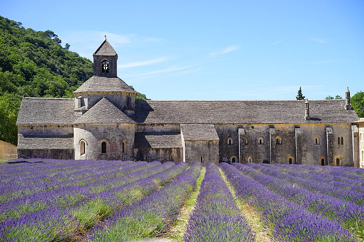 gray concrete chapel beside field of lavender flower