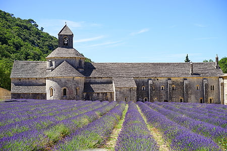 gray concrete chapel beside field of lavender flower