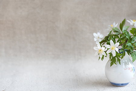 white windflower in vase