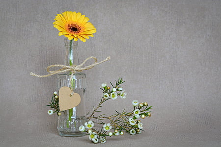 sunflower in clear glass vase