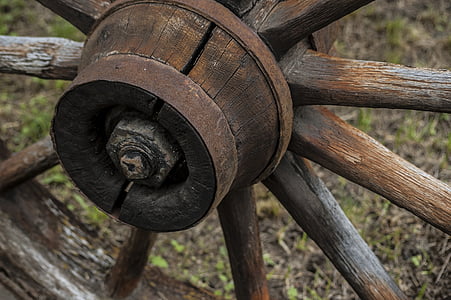 selective focus photography of brown wheel