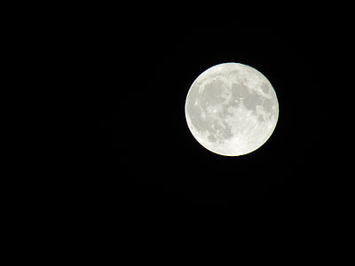 white and gray moon during nightitme