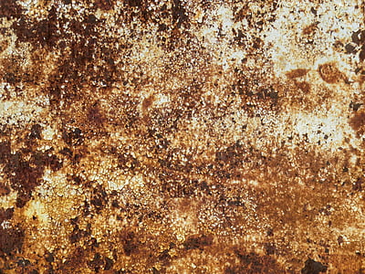 closeup photo of brown surface