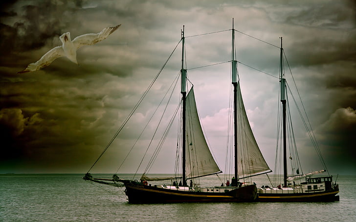 black and brown sailing ship on bodies of water