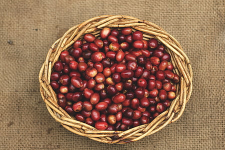 wicker basket full of red berries