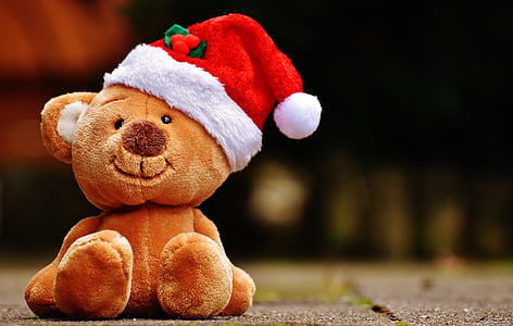 brown bear with Santa hat plush toy