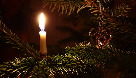 tealight candle on green christmas tree