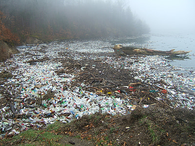body of water full of plastic bottles and slab logs