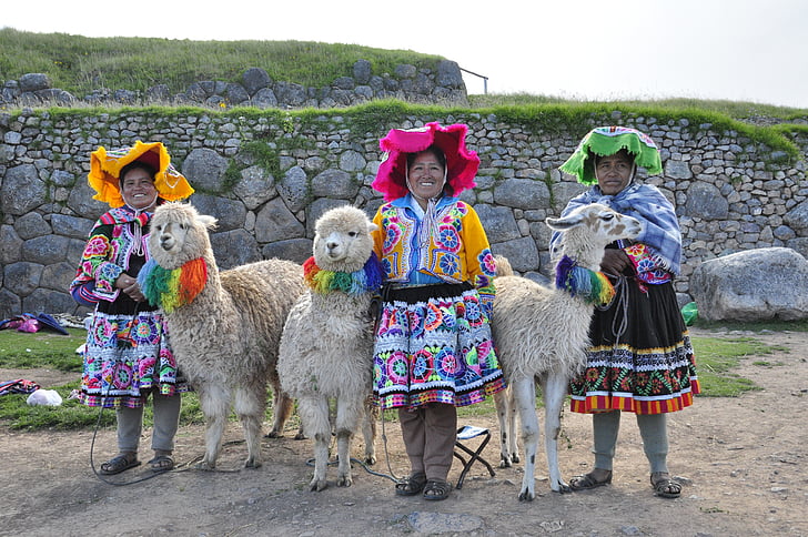 three woman with alpaca s