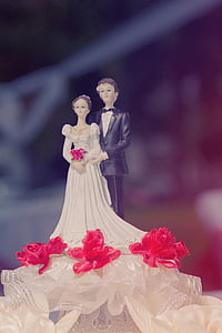 bride and groom cake decor