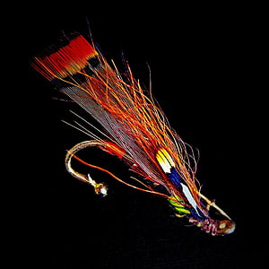 multicolored fish lure