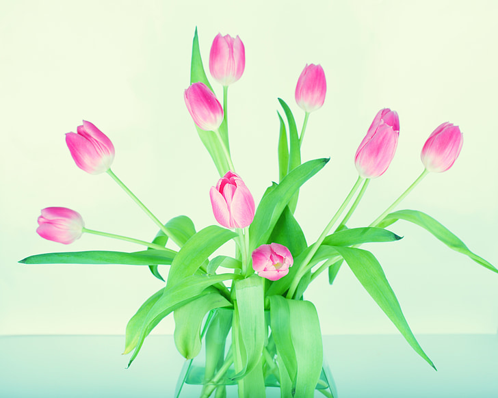 pink tulips flower arrangement