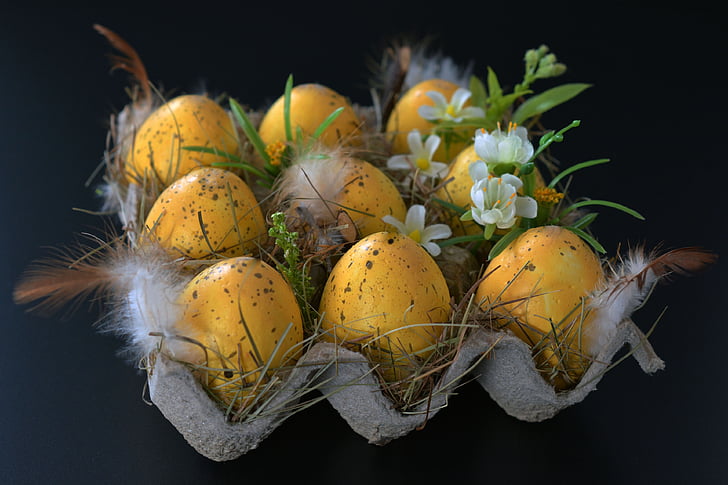 nine yellow eggs in gray egg tray