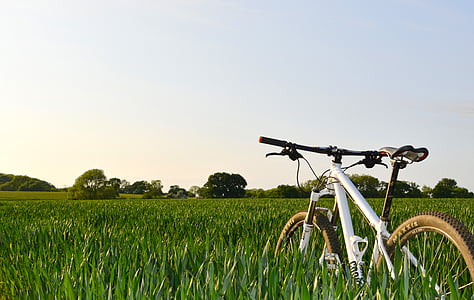 white hardtail mountain bike surrounded by green plants during daytime