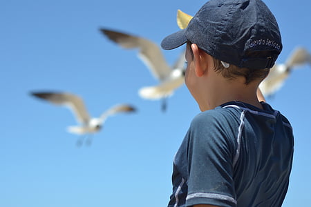 boy in black t-shirt with cap watching flying seagulls on air