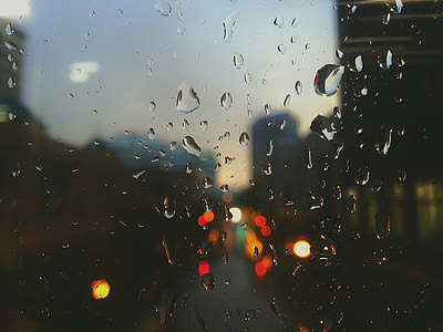 selective focus photography of rain drops
