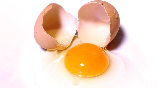 yellow native egg yolk