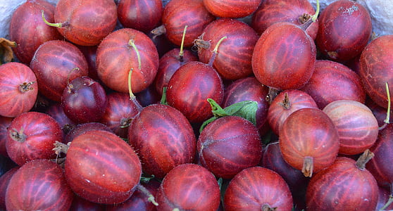 round red fruits