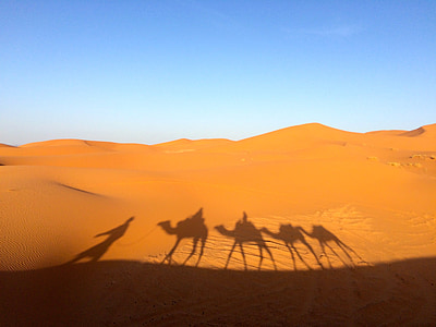silhouette of three people and four camel reflect on desert sand photo taken during daytime