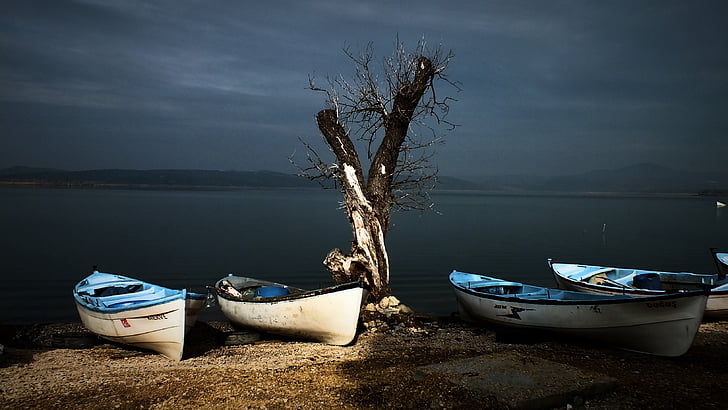 four white-and-blue canoes near bare tree