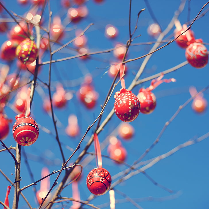 selective focus photograph of red bauble balls on branches