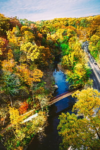 body of water near road surrounded by multicolored trees aerial photography