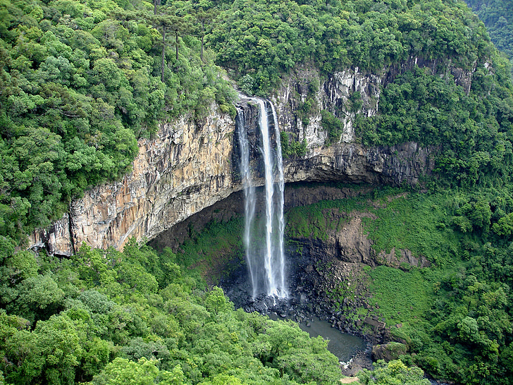 aerial view of waterfalls covered by trees