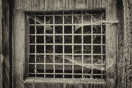 grayscale photo of web on door