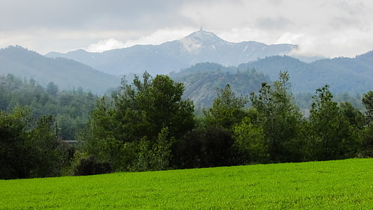 green trees near mountains and green field at daytime
