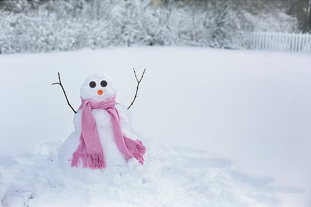 snowman photo during winter