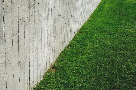 green grass and grey wooden fence