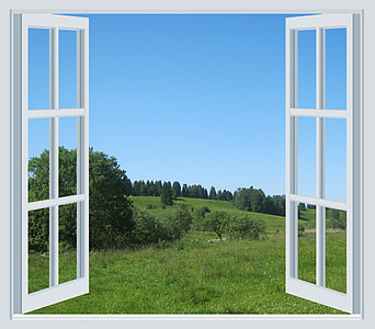 white wood-framed glass 2-door window with green trees