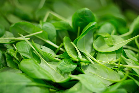 green leaf vegetable