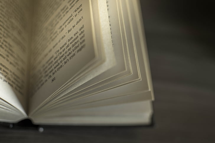 selective focus photography of opened bible