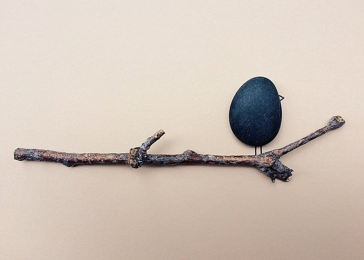 pebble and branch art