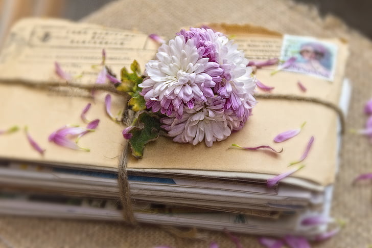 white and purple chrysanthemums on envelopes