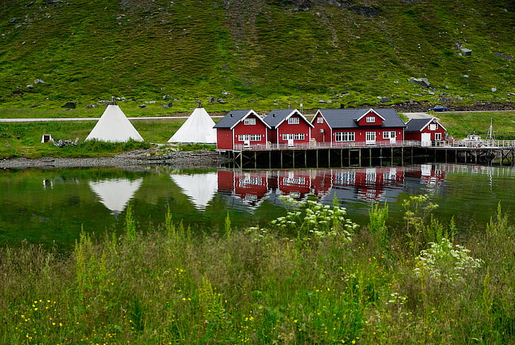 red houses beside pond during daytime