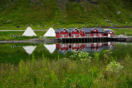 red houses beside pond during daytime