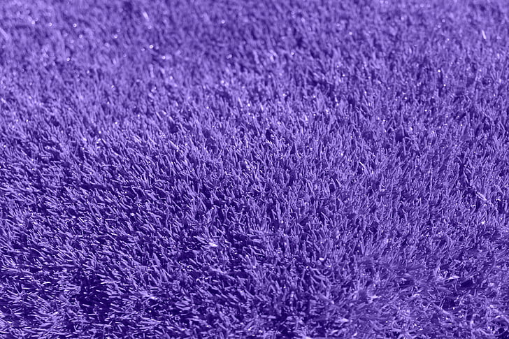 closeup photography of fleece purple textile